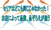 メダカとミジンコが同じ飼育水槽で共存できるプールを作ってみた めだかの学校 関分校