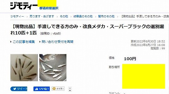 ジモティー　メダカ販売　投稿画面