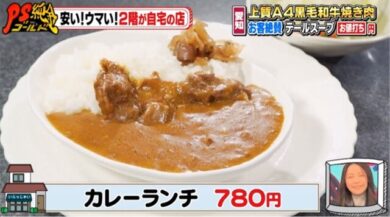 あしながおじさん焼肉亭 牛すじカレー 愛知郡東郷町 PS純金