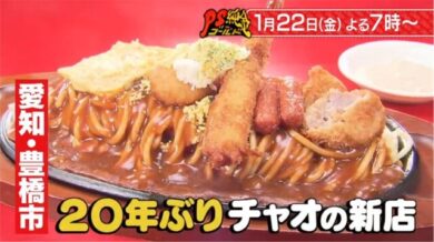 あんかけパスタ スパゲッ亭チャオ 豊橋藤沢店 愛知県豊橋市