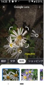 フォト 写真 Google レンズ 画像検索